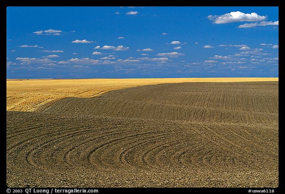 Field with curved plowing patterns, The Palouse. Washington (color)