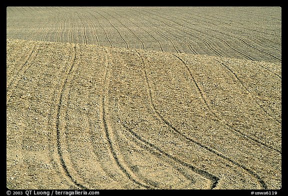 Field with curved plowing lines, The Palouse. Washington (color)