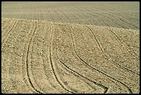 Field with curved plowing lines, The Palouse. Washington ( color)