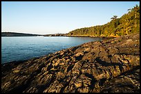 Iceberg Point, Lopez Island. Washington ( color)