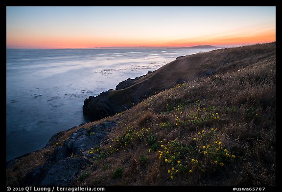 Coastline with wildflowers at sunset near Iceberg Point, Lopez Island. Washington