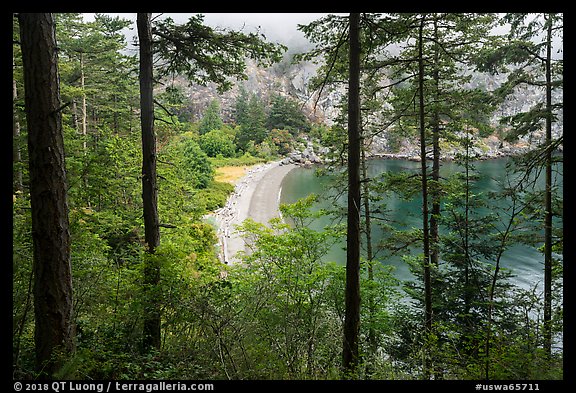 Beach through forest from above, Watmough Bay, Lopez Island. Washington (color)