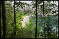 Beach through forest from above, Watmough Bay, Lopez Island. Washington ( color)