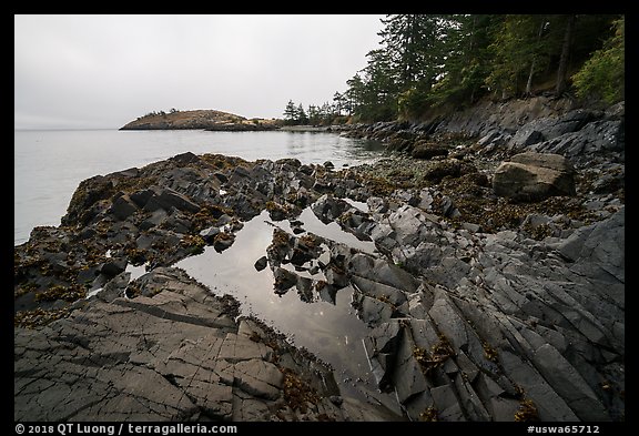 Tidepool, Watmough Bay, Lopez Island. Washington (color)