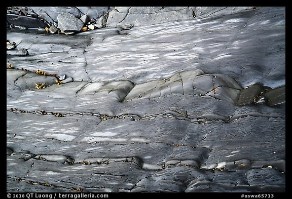 Polished slab and pebbles, Watmough Bay, Lopez Island. Washington (color)