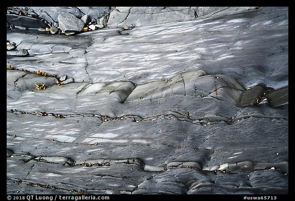 Polished slab and pebbles, Watmough Bay, Lopez Island. Washington (color)