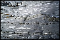 Polished slab and pebbles, Watmough Bay, Lopez Island. Washington ( color)