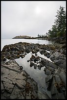 Rocky shore with pool and marine layer, Watmough Bay, Lopez Island. Washington ( color)