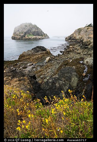 Point Colville, Lopez Island. Washington