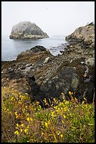 Point Colville, Lopez Island. Washington ( color)