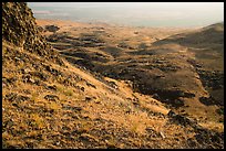Grasses, rocks, and rolling hills, Saddle Mountain, Hanford Reach National Monument. Washington ( color)