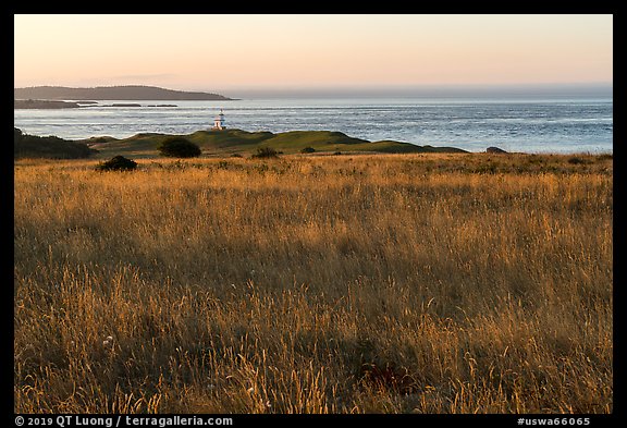 Meadow and Cattle Point Lighthouse, San Juan Islands National Monument, San Juan Island. Washington (color)