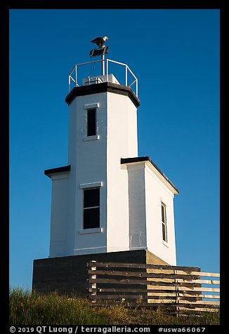 Cattle Point Lighthouse with perched bald eagle, San Juan Islands National Monument, San Juan Island. Washington (color)