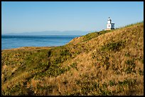 Grassy hill with lighthouse, Cattle Point Natural Resources Conservation Area, San Juan Islands National Monument. Washington ( color)
