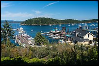 Port of Friday Harbor, San Juan Island. Washington ( color)