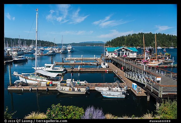 Marina, Friday Harbor, San Juan Island. Washington (color)