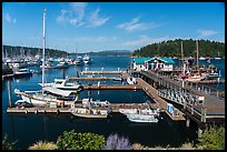 Marina, Friday Harbor, San Juan Island. Washington ( color)