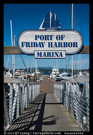 Deck, Friday Harbor marina, San Juan Island. Washington (color)