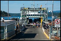 Ferry arrival, Friday Harbor, San Juan Island. Washington ( color)