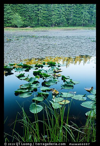 Summit Lake, Moran State Park. Washington (color)