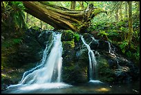 Rustic Falls, Cascade Creek, Moran State Park. Washington ( color)