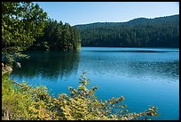 Mountain Lake, Moran State Park. Washington ( color)