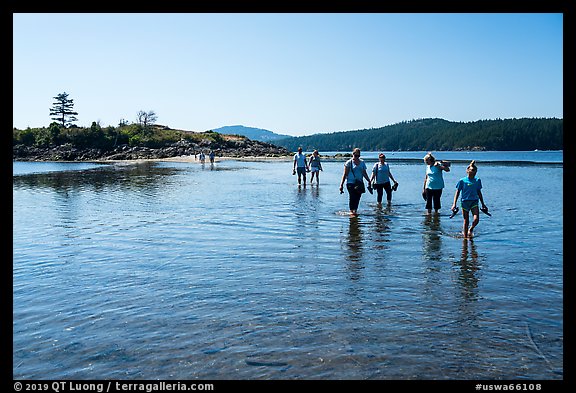 Tourists walking back from Indian Island, San Juan Islands National Monument, Orcas Island. Washington (color)