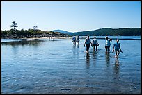 Tourists walking back from Indian Island, San Juan Islands National Monument, Orcas Island. Washington ( color)