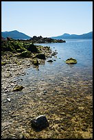 Indian Island shore, San Juan Islands National Monument, Orcas Island. Washington ( color)