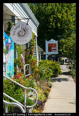 Sidewalk, Eastsound, Orcas Island. Washington (color)