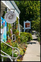 Sidewalk, Eastsound, Orcas Island. Washington ( color)