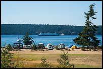 Campground, Lopez Island. Washington ( color)