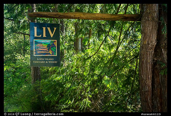 Lopez Island Vineyard and Winery sign, Lopez Island. Washington (color)