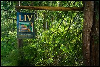 Lopez Island Vineyard and Winery sign, Lopez Island. Washington ( color)