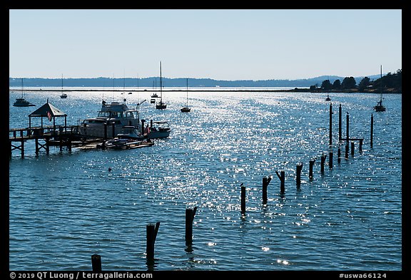 Backlit Fisherman Bay, Lopez Island. Washington (color)