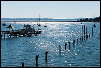 Backlit Fisherman Bay, Lopez Island. Washington ( color)