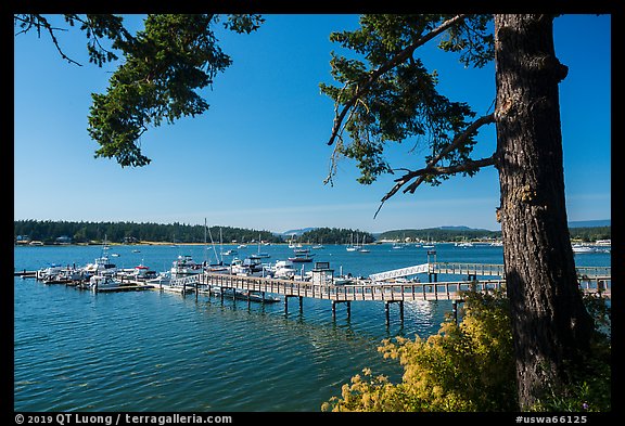 Pier, Fisherman Bay, Lopez Island. Washington (color)