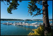 Pier, Fisherman Bay, Lopez Island. Washington ( color)