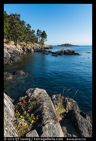 Shark Reef Sanctuary, Lopez Island. Washington (color)