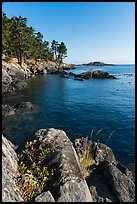 Shark Reef Sanctuary, Lopez Island. Washington ( color)