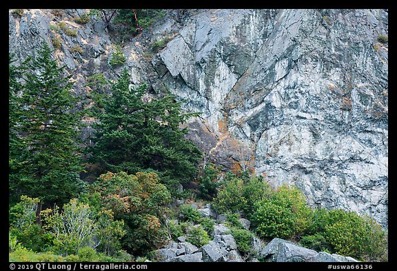 Cliffs, Watmough Bay, San Juan Islands National Monument, Lopez Island. Washington (color)