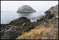Castle Island from Point Colville, San Juan Islands National Monument, Lopez Island. Washington ( color)
