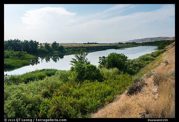 Banks of free-flowing section of Columbia River with verdant vegetation, Ringold Unit, Hanford Reach National Monument. Washington (color)