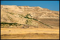 Bluffs, Ringold Unit, Hanford Reach National Monument. Washington ( color)