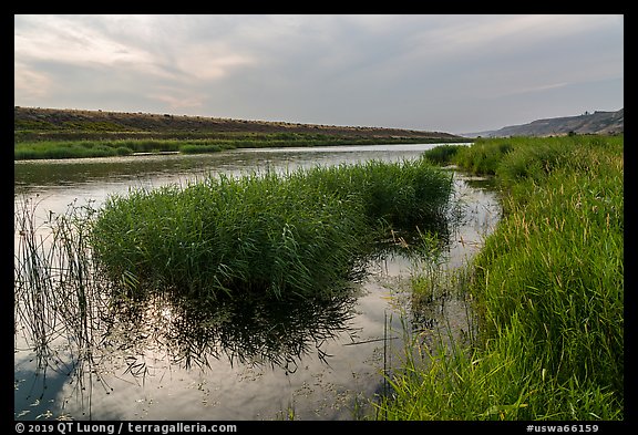 Verdant slough and Columbia River, Ringold Unit, Hanford Reach National Monument. Washington (color)