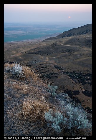 Saddle Mountain, sunrise, Hanford Reach National Monument. Washington (color)