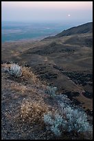 Saddle Mountain, sunrise, Hanford Reach National Monument. Washington ( color)