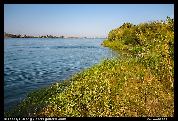 Columbia River grassy shore with reactor in background, Hanford Reach National Monument. Washington (color)