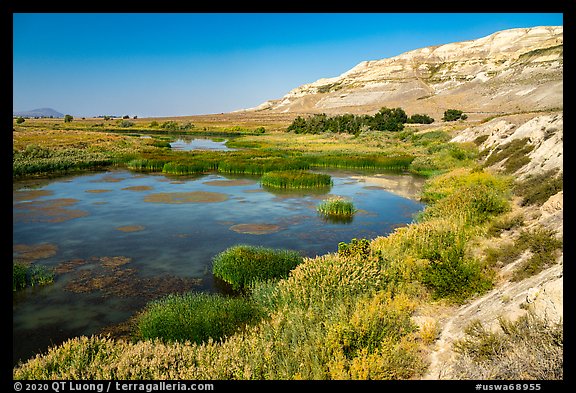 Savage Island channel wetlands and bluffs, Hanford Reach National Monument. Washington (color)