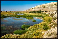 Savage Island channel wetlands and bluffs, Hanford Reach National Monument. Washington ( color)